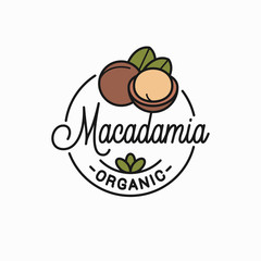 Macadamia nut logo. Round linear of macadamia