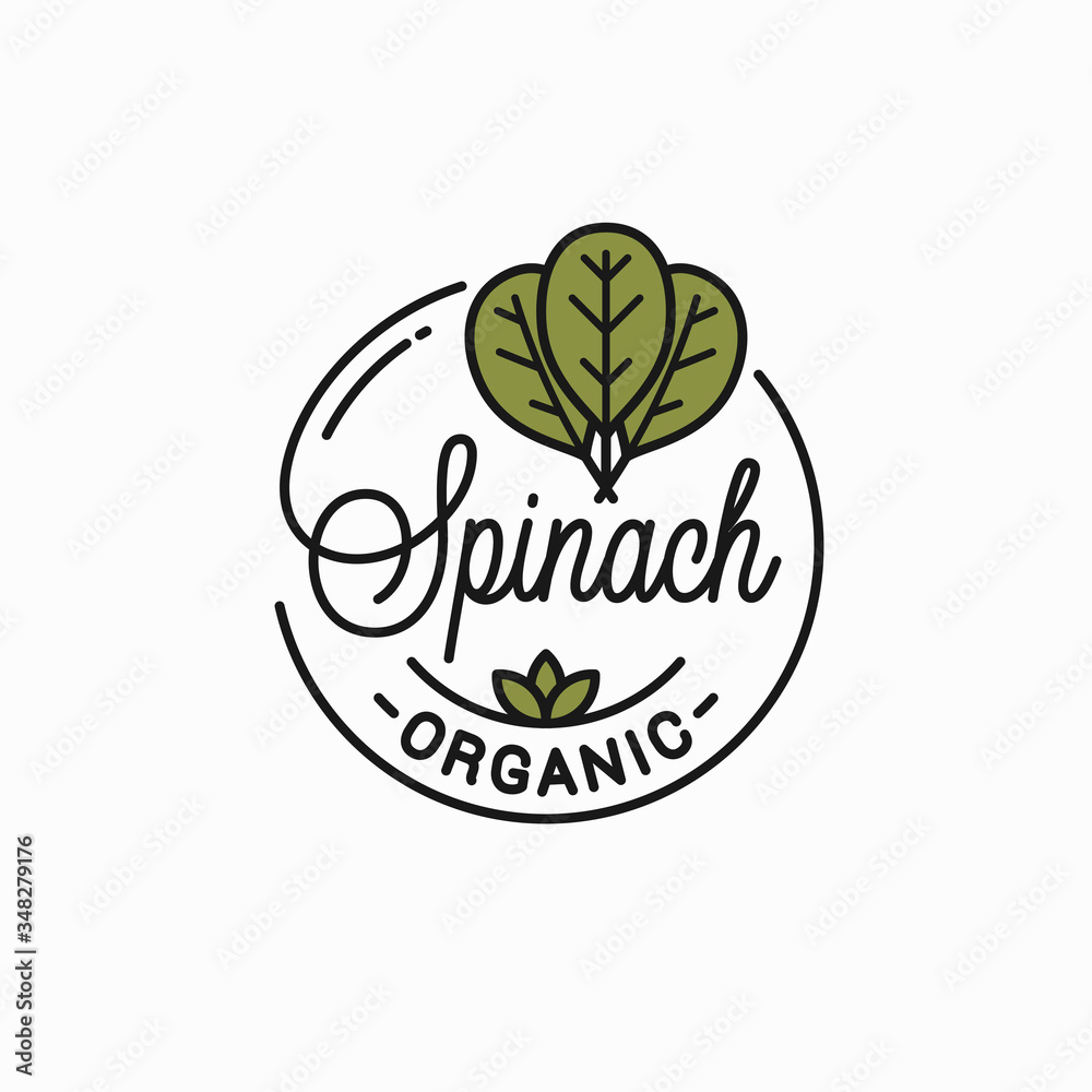 Wall mural spinach leaves logo. round linear of spinach