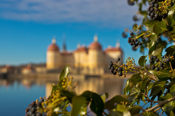 Schloss Moritzburg