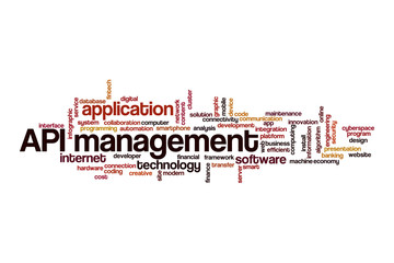 API management word cloud concept