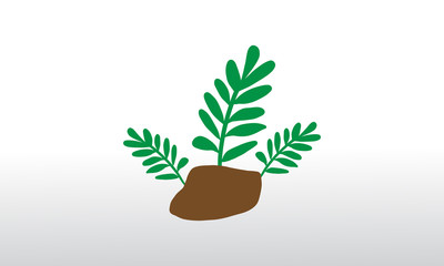 Obraz na płótnie Canvas green plant vector