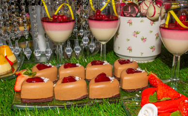 Festive brunch buffet Valentine's Day, Mother's Day, Woman's Day, catering and candy bar