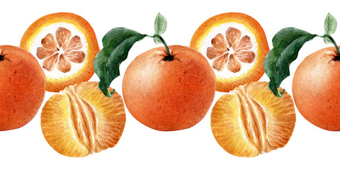 Watercolor seamless border of Fruits, twigs and slices of tangerine