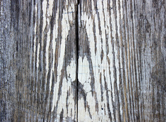 Texture of old wood. Retro and vintage