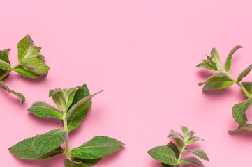 Fresh green leaves of mint, lemon balm, peppermint on pink background flat lay top view copy space....