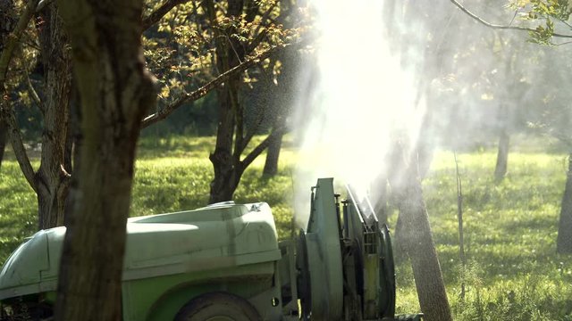 Un tracteur pratique l'&eacute;pandage de pesticides mat&eacute;rialisant la lumiere diffus&eacute; a travers les branche de noyer en dans la r&eacute;gion  rh&ocirc;ne-alpes.