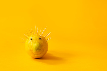 close-up of a lemon in the form of a hedgehog with eyes from seasoning cloves and toothpicks on an...