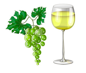 Stock vector illustration. A glass of white wine and a bunch of green grapes nearby. The illustration is drawn on a white background.