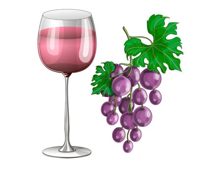 Stock vector illustration. A glass of pink wine and a bunch of lilac grapes nearby. The illustration is drawn on a white background.