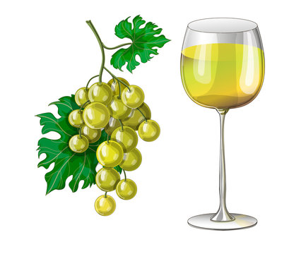 Stock vector illustration. A glass of white wine and a bunch of yellow grapes nearby. The illustration is drawn on a white background.