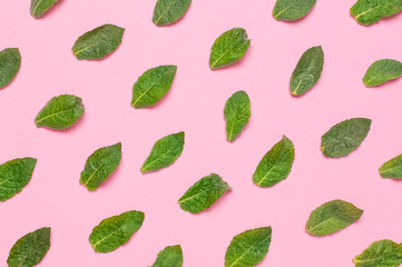 Pattern of fresh green leaves of mint, lemon balm, peppermint on pink background top view. Mint leaf texture. Ecology natural layout. Flat lay Mint leaves pattern spearmint herbs nature background © olgaarkhipenko