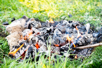 burning coal from a fire on green grass