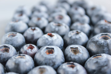 Blueberries, which contain vitamins and antioxidants. Macro view.