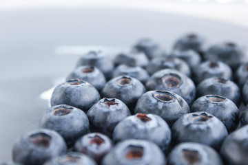 Blueberries, which contain vitamins and antioxidants. Macro view.