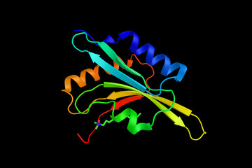 Fototapeta na wymiar Crystal structure of adf1 from arabidopsis thaliana, 3d rendering. ADF-H domain is a motif present in three phylogenetically distinct classes of eukaryotic actin-binding proteins