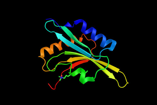 Crystal structure of adf1 from arabidopsis thaliana, 3d rendering. ADF-H domain is a motif present in three phylogenetically distinct classes of eukaryotic actin-binding proteins