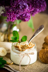 sweet homemade yogurt with fresh bananas and slices of oatmeal cookies