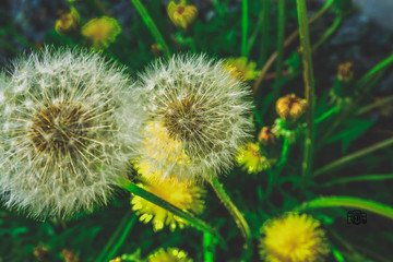 photography ESCAPADE.