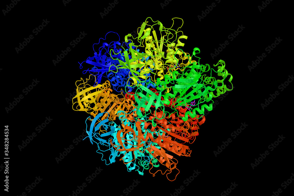 Poster ATPase F1 complex gamma subunit, which forms the central shaft that connects the F0 rotary motor to the F1 catalytic core. 3d rendering