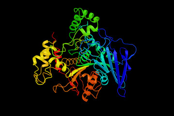 Bile salt-dependent lipase, an enzyme produced by the adult pancreas which aids in the digestion of fats. Originally discovered in the milk of humans and various other primates. 3d rendering