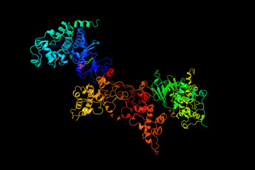 Casein kinase II subunit alpha, an enzyme which is a serine/threonine protein kinase that phosphorylates acidic proteins such as casein. 3d rendering