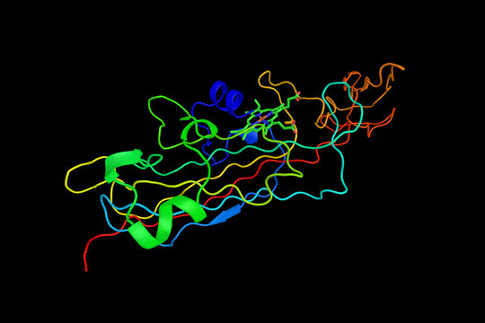 Cytochrome f, the largest subunit of cytochrome b6f complex. Plays a role analogous to that of cytochrome c1, in spite of their different structures. 3d rendering
