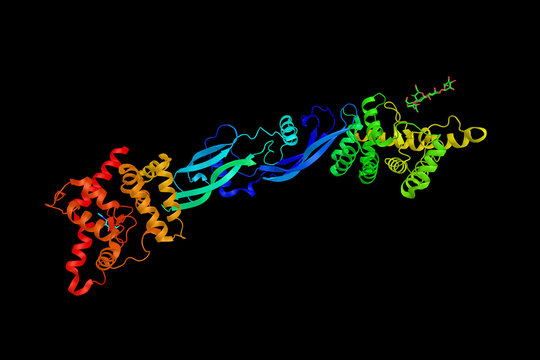 GDNF Family Receptor Alpha-3, A Protein Which Forms A Signaling Receptor Complex With RET Tyrosine Kinase Receptor And Binds The Ligand, Artemin. 3d Rendering