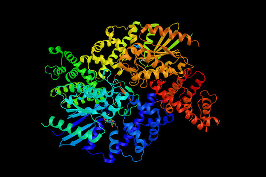 Guanine nucleotide-binding protein subunit alpha-13, a protein encoded by the GNA13 gene. Recurrent mutations in this gene have been associated to cases of diffuse large B-cell lymphoma. 3d rendering