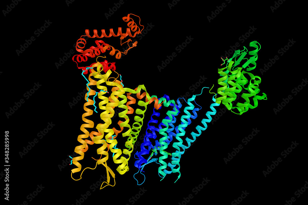 Poster Human k-opioid receptor, a member of a group of inhibitory G protein-coupled receptors with opioids as ligands. Distributed widely in the brain, and are found in the spinal cord and digestive tract