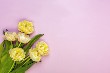 Floral bouquet of hyacinth flowers.