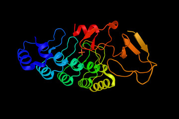 Fototapeta premium Integrin-linked kinase, a protein associated with multiple cellular functions including cell migration, cell proliferation, cell-adhesions, and signal transduction. 3d rendering