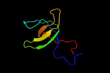 Obraz na płótnie Canvas Kalirin, a protein known to play an important role in nerve growth and axonal development. 3d rendering