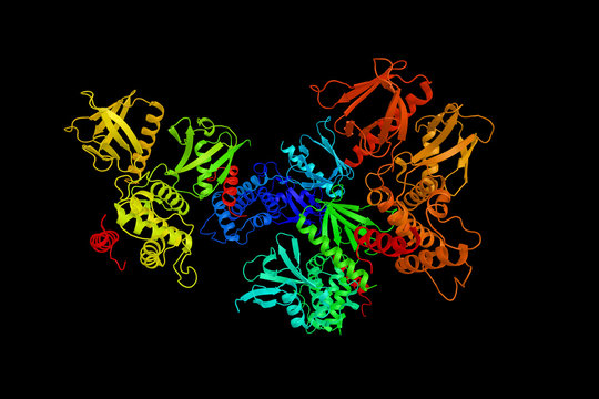 Serine/threonine-protein kinase LATS1, an enzyme which has been associated with the Hippo signaling pathway. 3d rendering