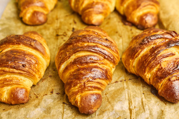 Delicious buttery croissants removed from the oven on a baking sheet. Concept of homemade pastry. Italian or french traditional breakfast