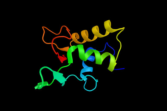 Mouse Dvl-1 DEP domain. Dishevelled (Dsh) is a family of proteins involved in canonical and non-canonical Wnt signalling pathways. 3d rendering