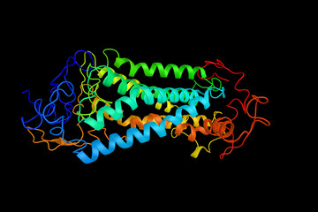 Neuropeptide Y receptor type 5, a protein that in humans is encoded by the NPY5R gene. Connected with antidepressant activities. 3d rendering
