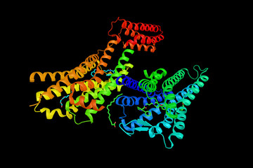 Nociceptin receptor, a protein involved in the regulation of numerous brain activities, particularly instinctive and emotional behaviors. 3d rendering