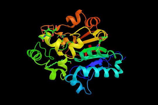 Palmitoyl protein thioesterase, enzyme that removes thioester-linked fatty acyl groups such as palmitate from modified cysteine residues in proteins or peptides during lysosomal degradation