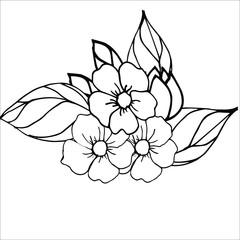 vector illustration of a flower. Coloring with flowers, buds and leaves of Apple trees. Black and white drawing of Apple flowers for coloring.