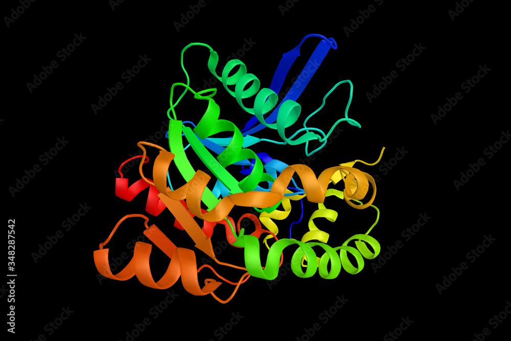 Poster Protein phosphatase methylesterase-1, an enzyme with systematic name (phosphatase 2A protein)-leucine ester acylhydrolase. A key regulator of protein phosphatase 2A. 3d rendering