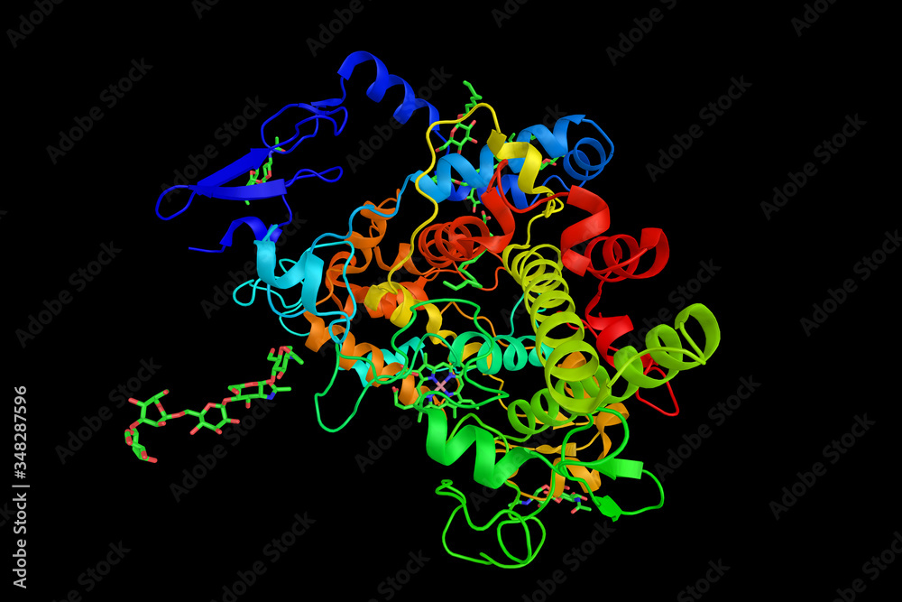 Sticker Cyclooxygenase 1, the central enzyme in the biosynthetic pathway to prostaglandins from arachidonic acid. 3d rendering