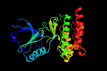 PTK2 protein tyrosine kinase 2, a focal adhesion-associated protein kinase involved in cellular adhesion. 3d rendering