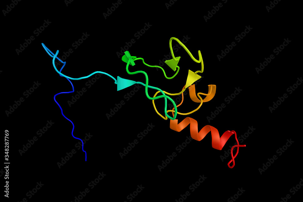 Sticker RING finger protein 31, a protein which contains a RING finger, a motif present in a variety of functionally distinct proteins and known to be involved in protein-DNA and protein-protein interactions