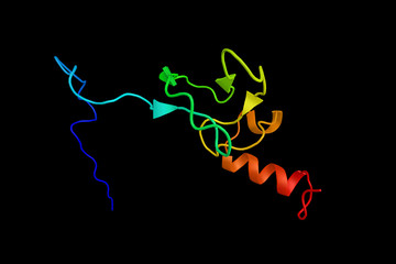 RING finger protein 31, a protein which contains a RING finger, a motif present in a variety of functionally distinct proteins and known to be involved in protein-DNA and protein-protein interactions