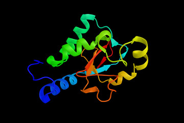 E3 ubiquitin-protein ligase NRDP1, an enzyme which contains a RING finger, a motif known to be involved in protein-protein and protein-DNA interactions. 3d rendering