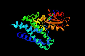Beta-ketoacyl-ACP synthase from streptococcus pneumoniae,  an enzyme involved in fatty acid synthesis. It results in the formation of acetoacetyl ACP. 3d rendering
