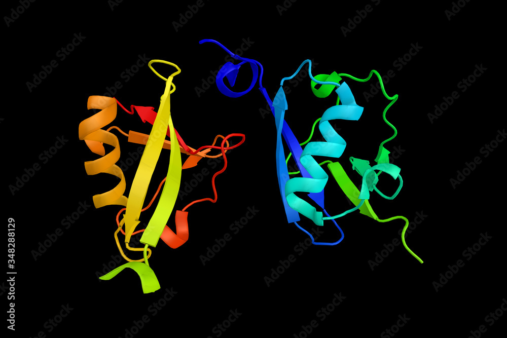 Wall mural Serine/threonine-protein kinase TBK1, an enzyme which can mediate NFKB activation in response to certain growth factors. 3d rendering