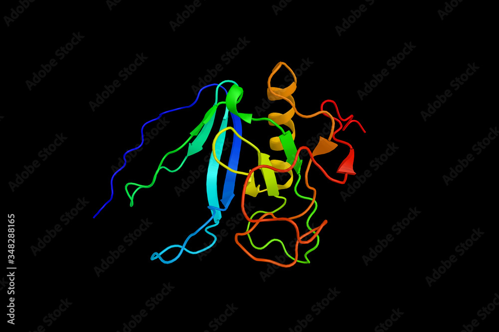 Wall mural tyrosine-protein kinase tec, an enzyme which is an integral component of t cell signaling and has a 