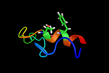 Subtilosin A, bacteriocin from Bacillus subtilis and a microcin. Microcins are very small bacteriocins, composed of a relatively few peptides. 3d rendering