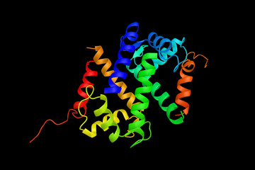 Obraz na płótnie Canvas Serine/threonine-protein kinase 38, an enzyme that in humans is encoded by the STK38 gene. 3d rendering